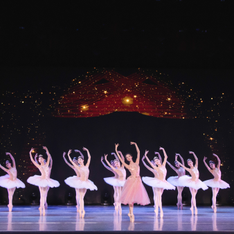 大型艺术活动集锦